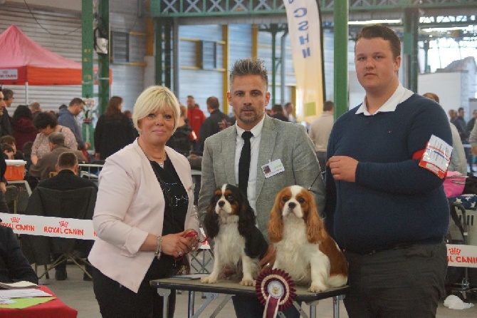 des cavaliers de cecvan - Résultat de l'exposition de Maubeuge