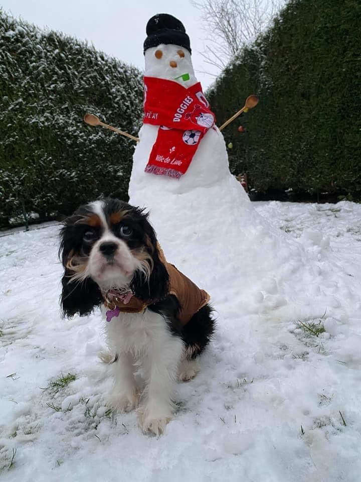 des cavaliers de cecvan - Ruby