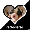  - Recto Verso