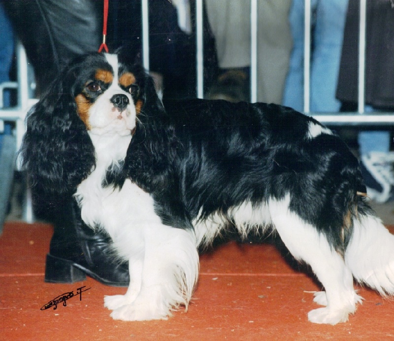 CH. Lawson Marliviers