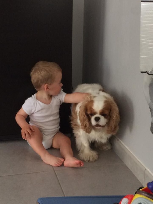 des cavaliers de cecvan - Dwina et son petit copain