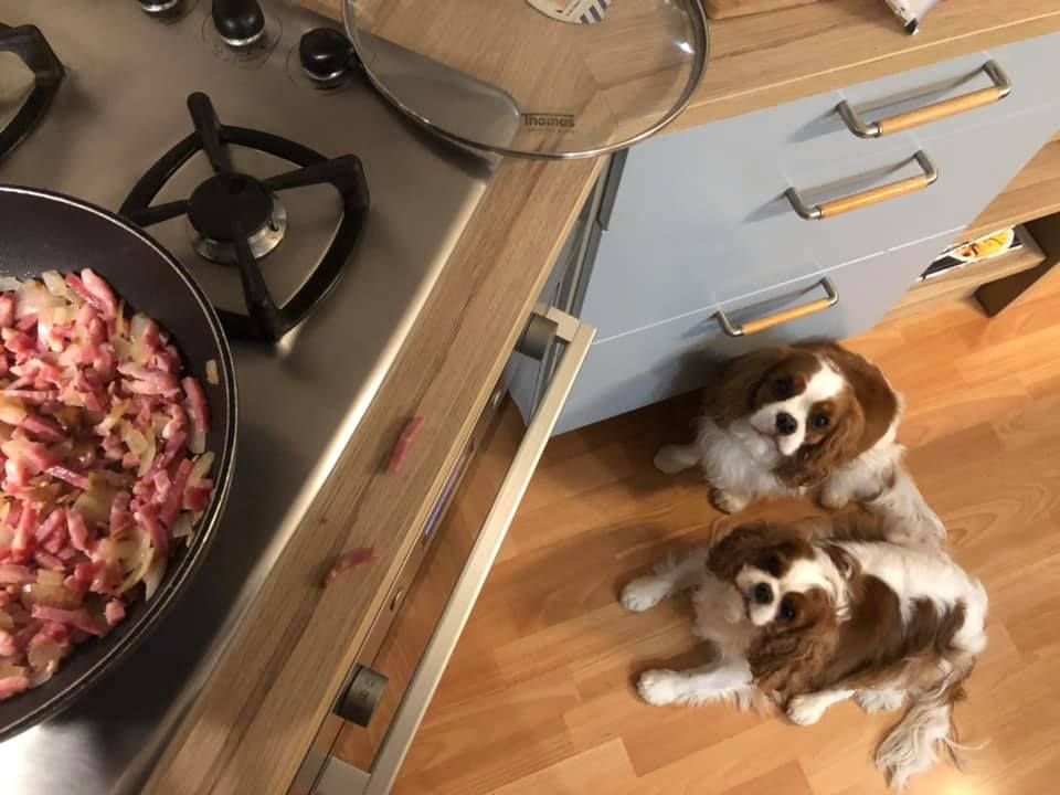 des cavaliers de cecvan - Léna et Ollie