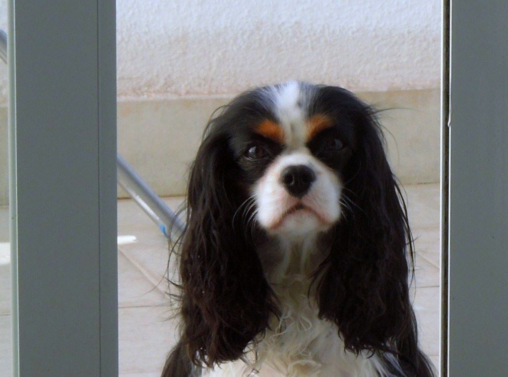 des cavaliers de cecvan - Lakota
