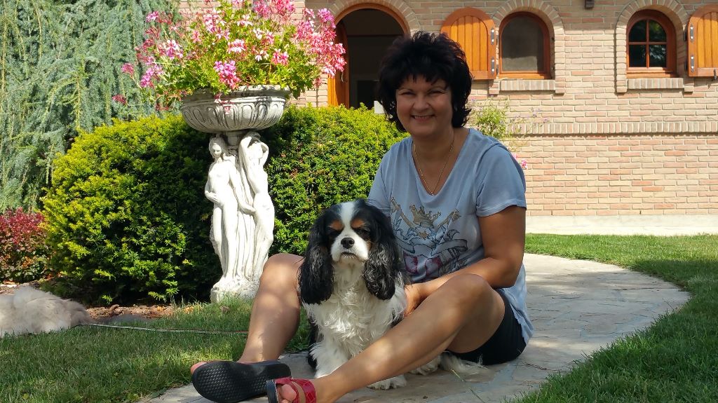 des cavaliers de cecvan - Budy et sa maman