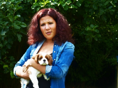 des cavaliers de cecvan - Illico