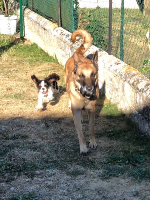 des cavaliers de cecvan - Dior