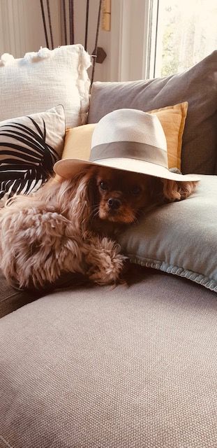 des cavaliers de cecvan - Chanel
