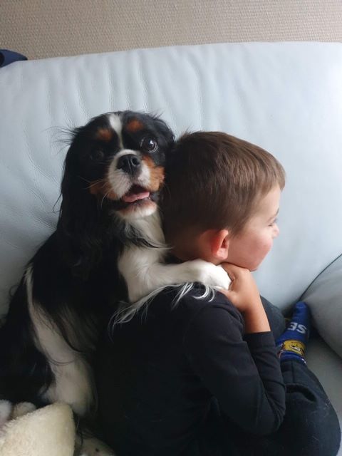 des cavaliers de cecvan - Narnia et Quentin