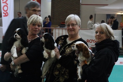 des cavaliers de cecvan - Expo de Mouscron