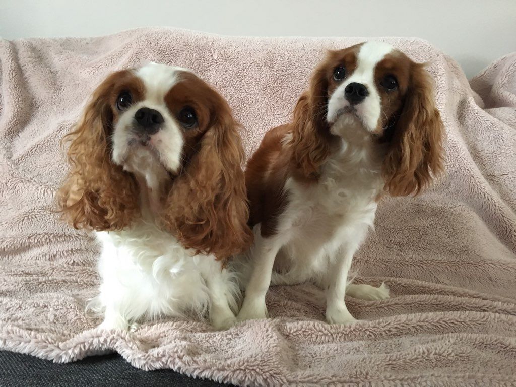 des cavaliers de cecvan - Léna et sa fille Ollie