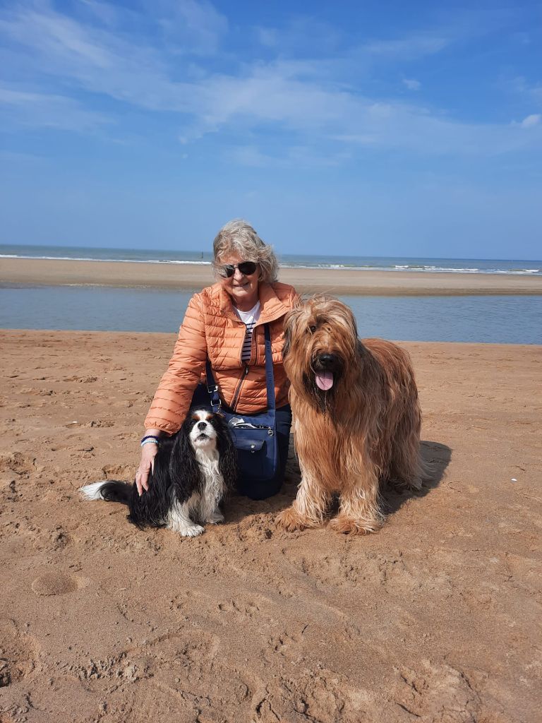 des cavaliers de cecvan - Lakota