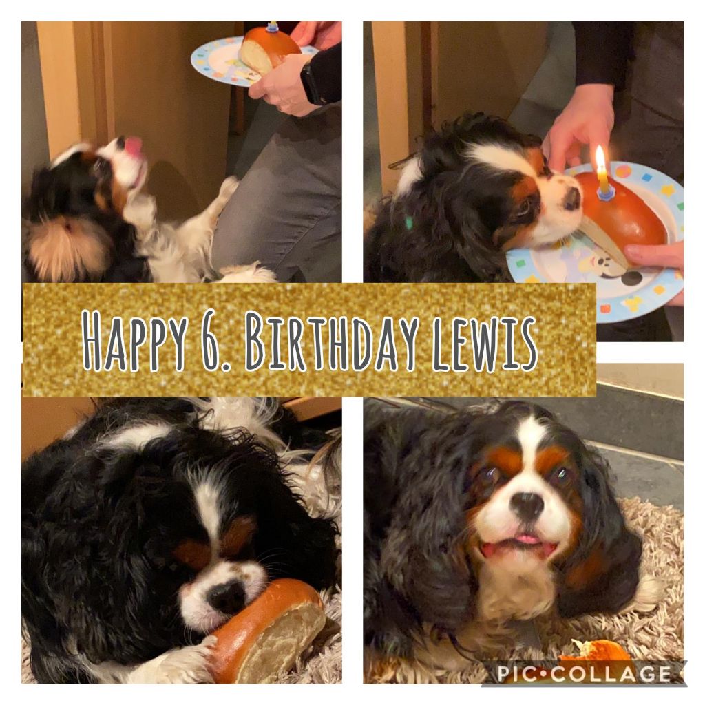 des cavaliers de cecvan - Levis