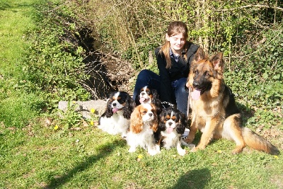 des cavaliers de cecvan - Enfin le Printemps
