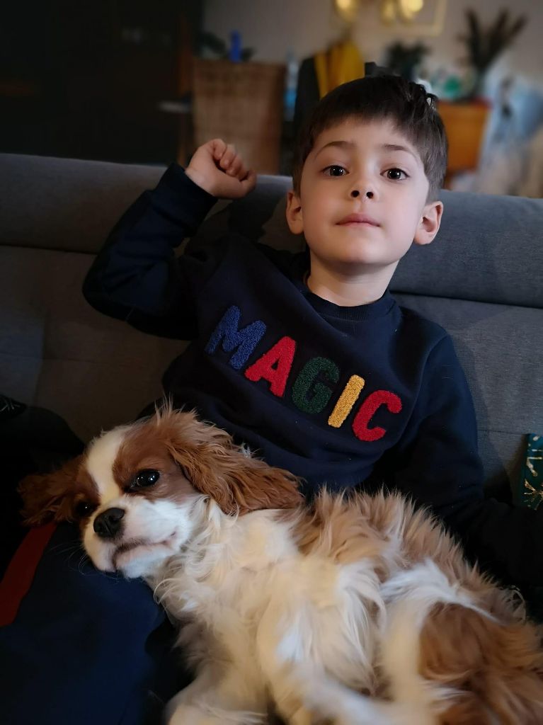 des cavaliers de cecvan - Romy