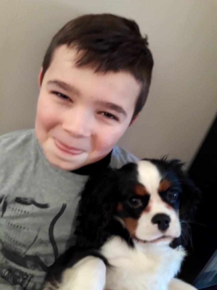 des cavaliers de cecvan - Neya