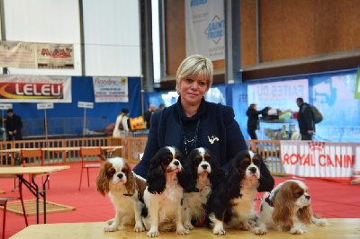 des cavaliers de cecvan - Expo de Flixecourt