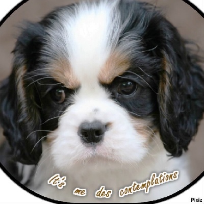 des cavaliers de cecvan - It'me