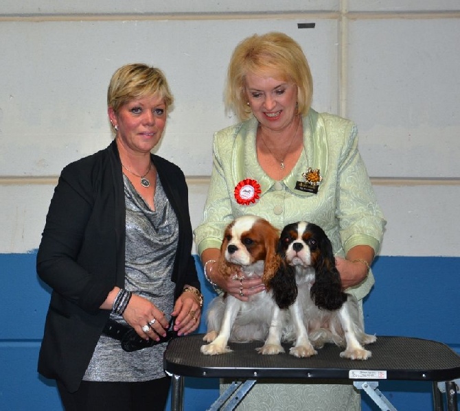 des cavaliers de cecvan - Exposition du Luxembourg