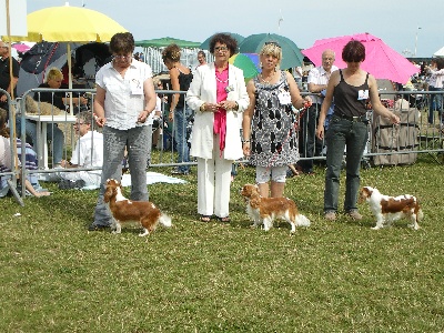 des cavaliers de cecvan - Exposition sous le soleil de Dieppe
