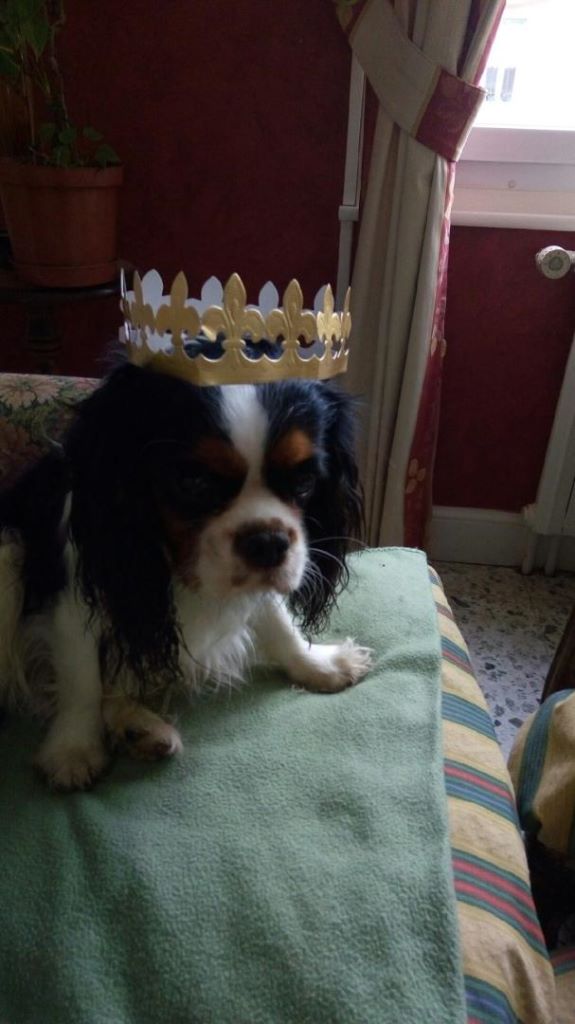 des cavaliers de cecvan - O'Ney vive le roi
