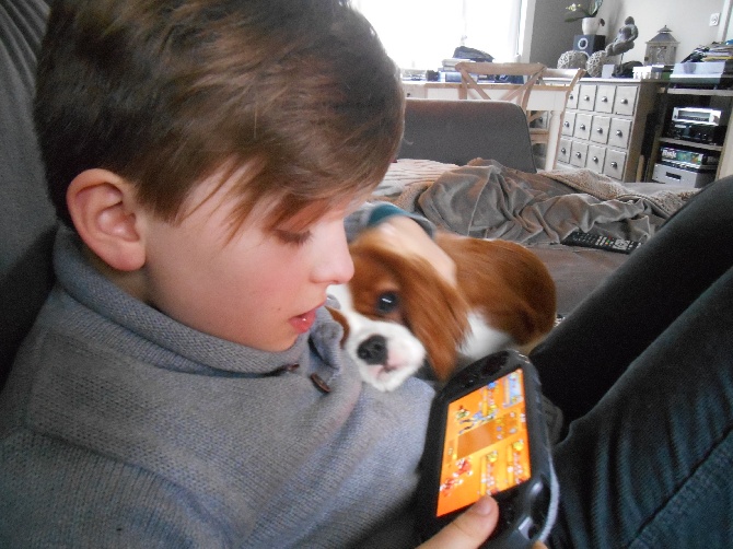 des cavaliers de cecvan - Beaucoup d'amour