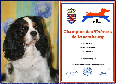 des cavaliers de cecvan - Tanit de Cecvan