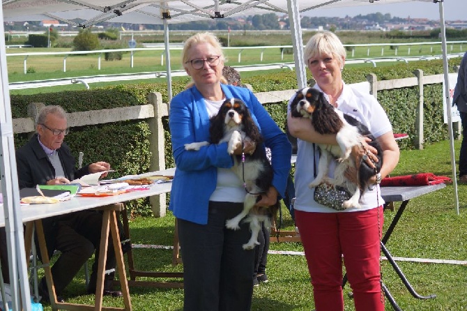 des cavaliers de cecvan - Exposition du Touquet