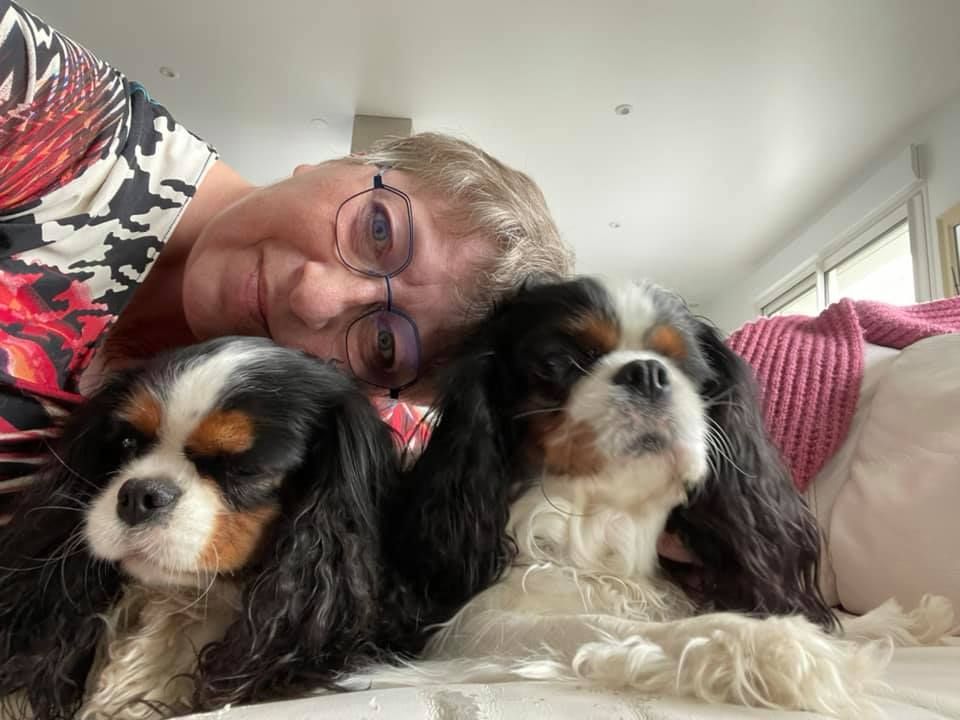 des cavaliers de cecvan - Sylvie et ses princesses