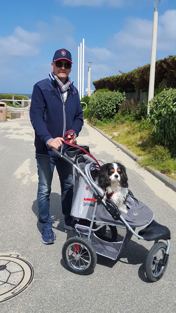 des cavaliers de cecvan - Buddy