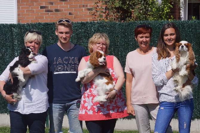 des cavaliers de cecvan - Retrouvailles