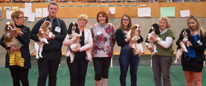 des cavaliers de cecvan - Exposition de Flixecourt