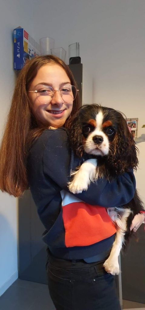des cavaliers de cecvan - Obiwan
