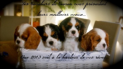 des cavaliers de cecvan - Meilleurs Voeux 2013