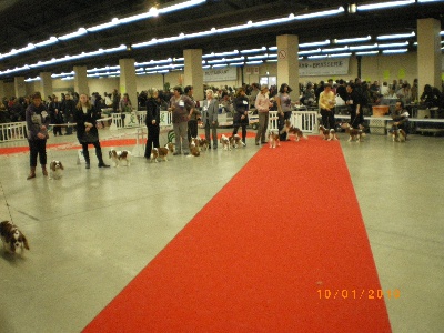 des cavaliers de cecvan - Exposition de Vincennes