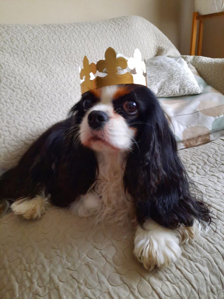 des cavaliers de cecvan - Lakota