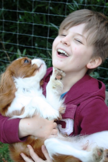 des cavaliers de cecvan - Jessie