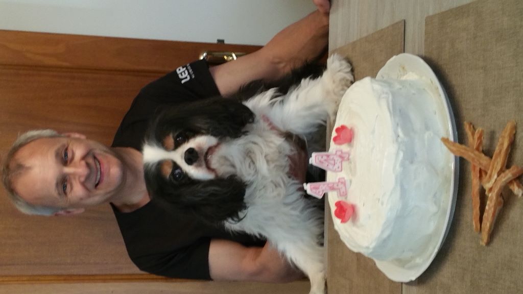 des cavaliers de cecvan - Joyeux anniversaire Buddy 14 ans