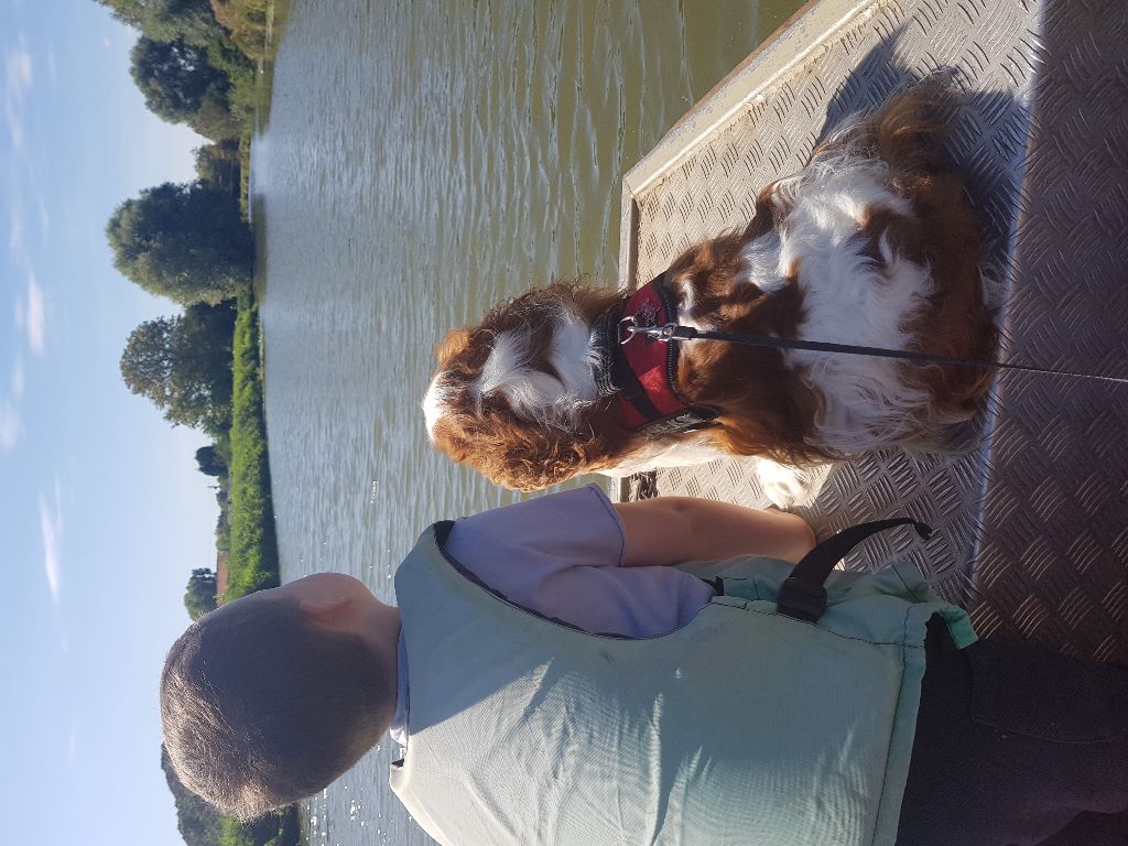 des cavaliers de cecvan - Daryl