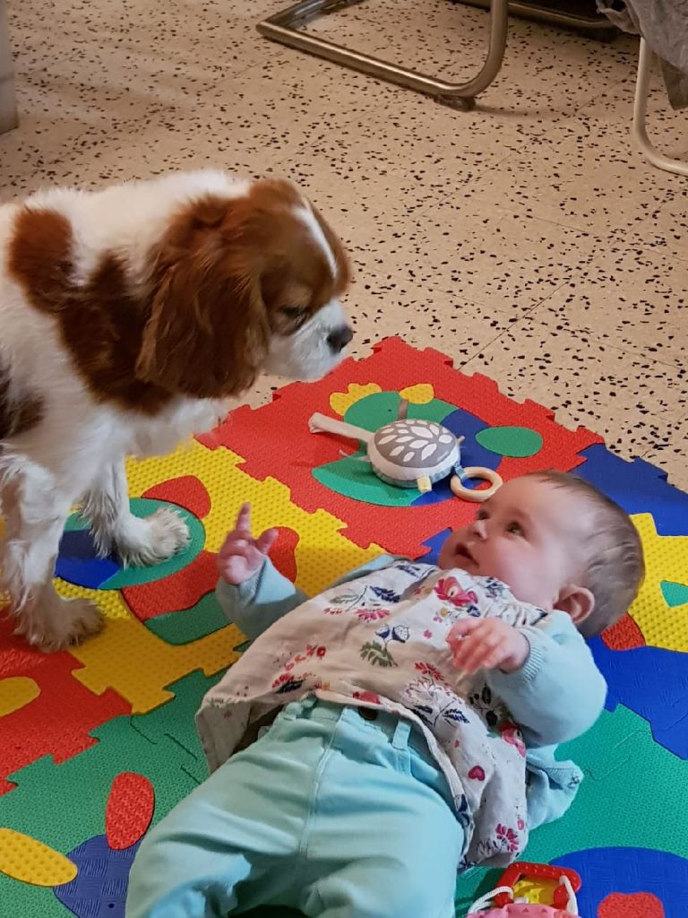 des cavaliers de cecvan - Harley et Méloée
