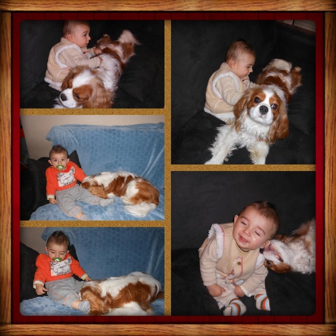 des cavaliers de cecvan - Suite des aventures de Jadore et son petit copain