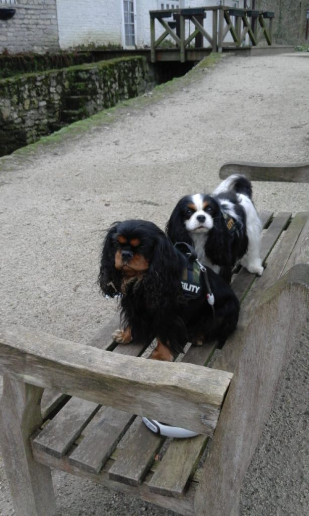 des cavaliers de cecvan - Houston & Lakota