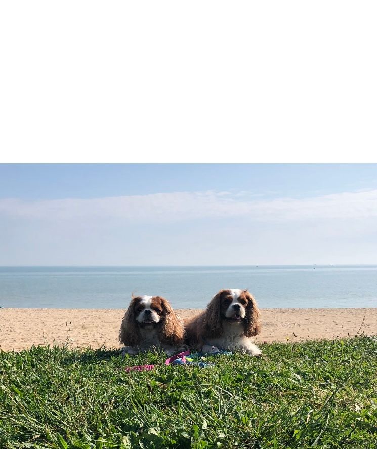 des cavaliers de cecvan - Ollie et Léna