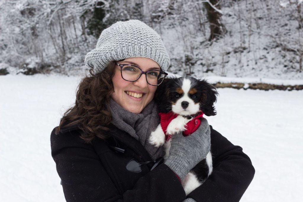 des cavaliers de cecvan - Oddie