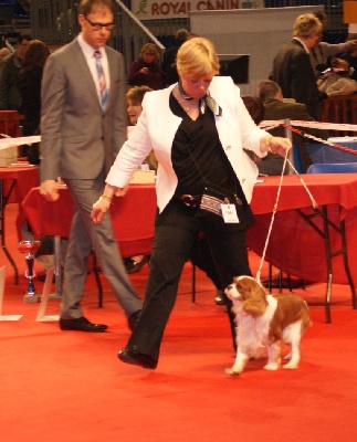 des cavaliers de cecvan - Douai