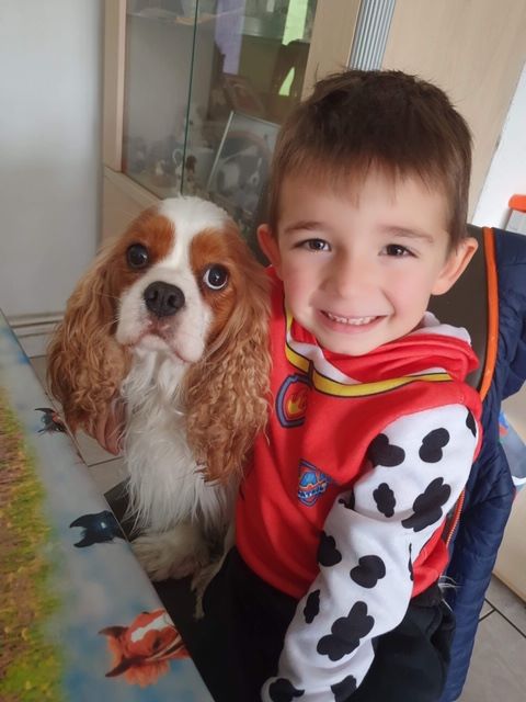 des cavaliers de cecvan - Jadore