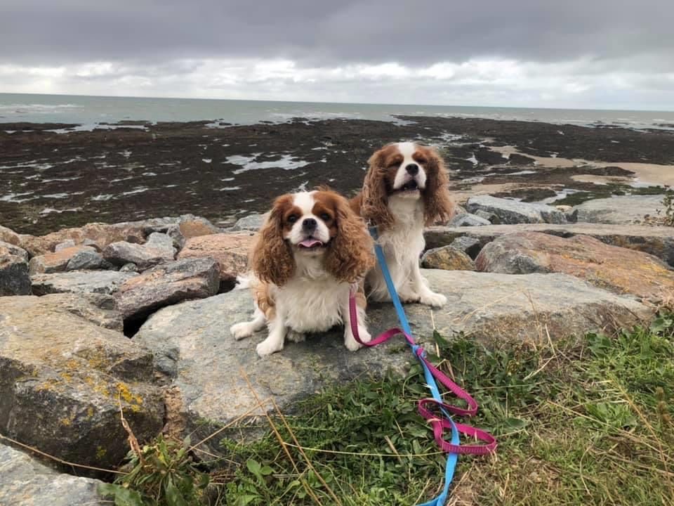 des cavaliers de cecvan - Léna et Ollie