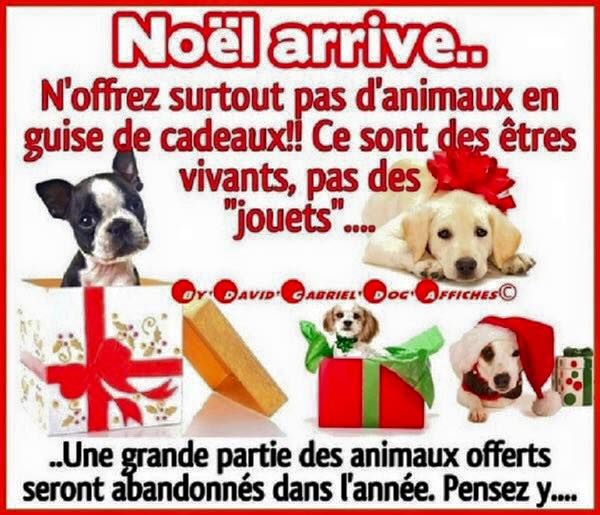 des cavaliers de cecvan - A méditer et à faire passer le message