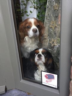 des cavaliers de cecvan - June et Saly