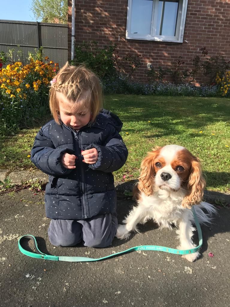des cavaliers de cecvan - Mowgli