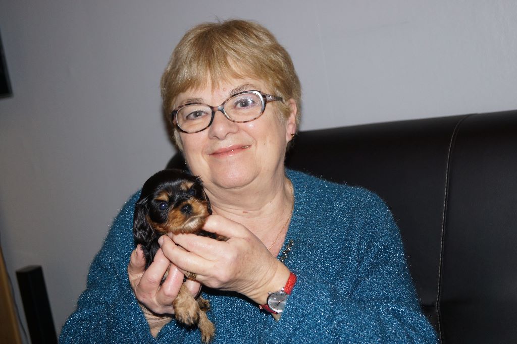 des cavaliers de cecvan - Noa